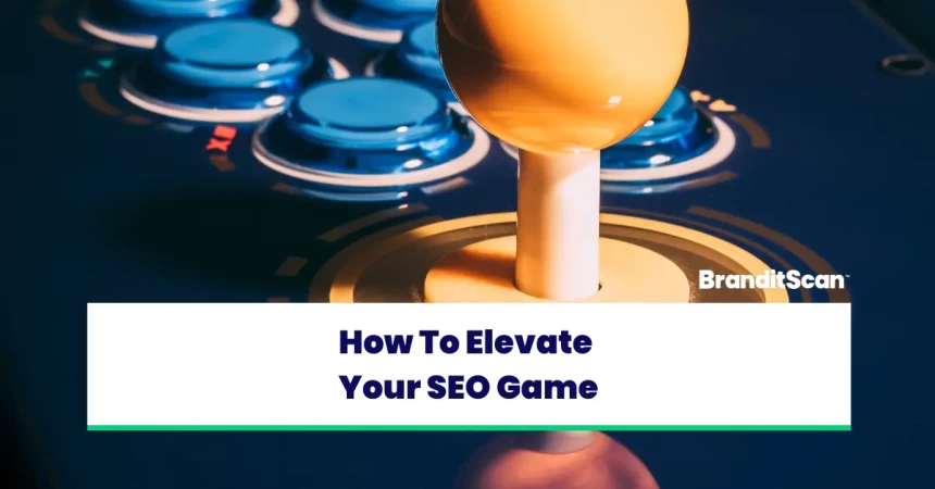 Elevating Your SEO Game: The Art of Multi-Site Content