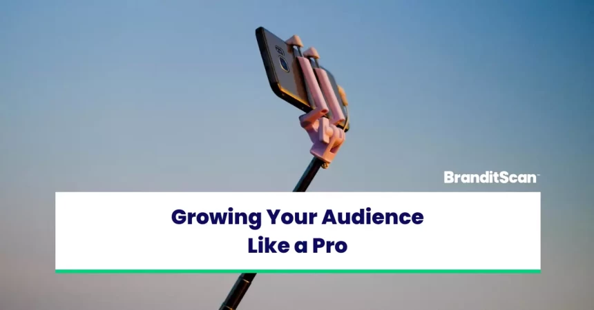 Growing Your Audience Like A Pro