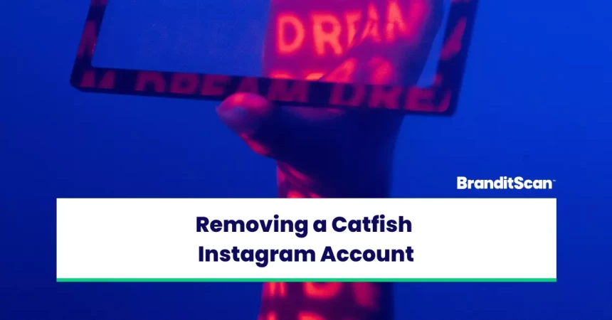 How Can I Remove a Fake Instagram Account?