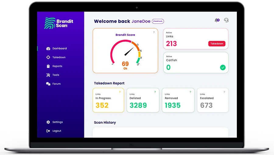 The third BranditScan dashboard, from 2023