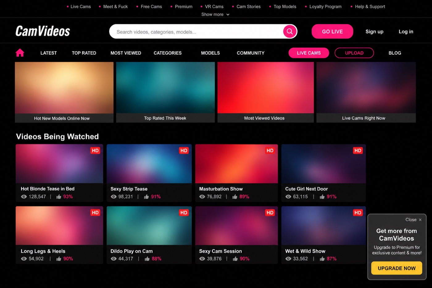 What the Camstreams tv interface looks like