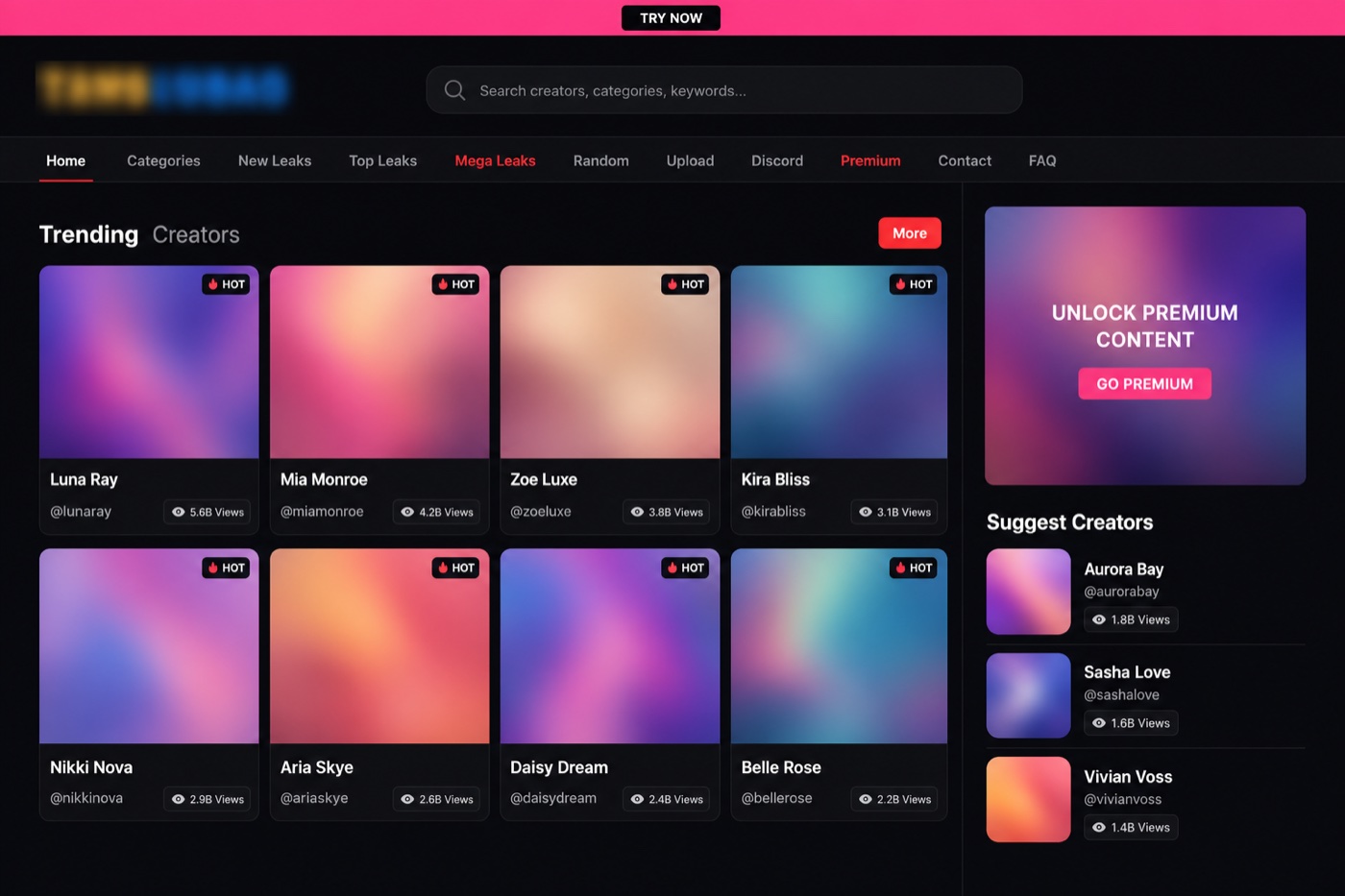 What the Hotleaks tv interface looks like