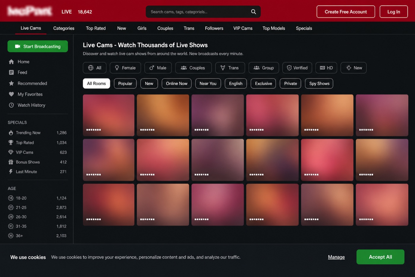 What the Javkiki com interface looks like