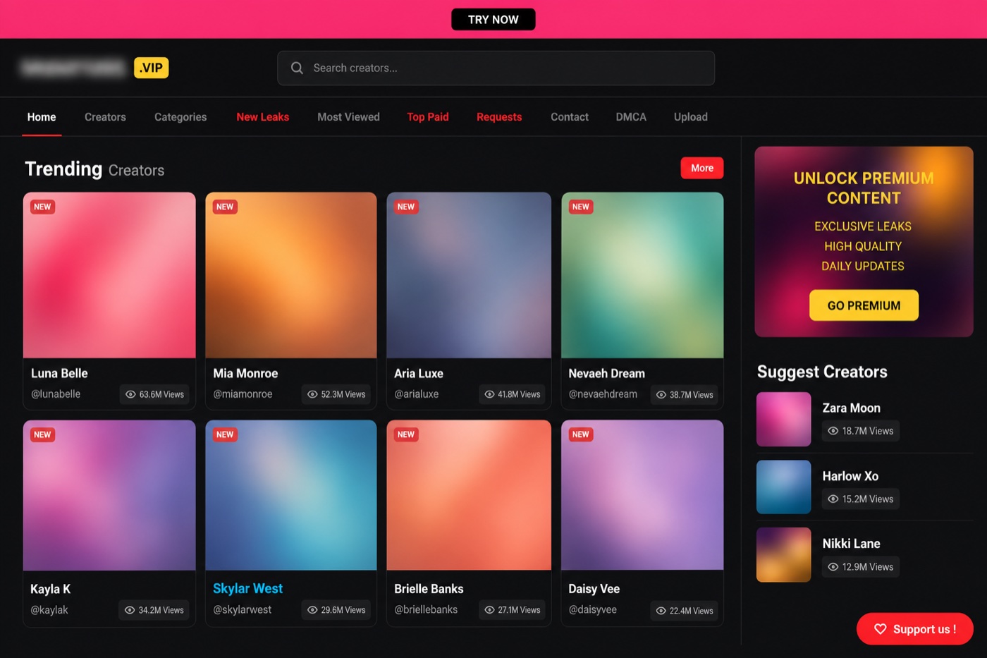 What the Leakedzone com interface looks like